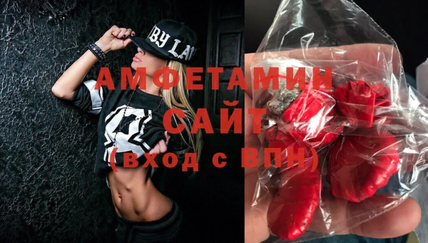 СК Алексин