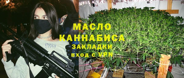 СК Алексин